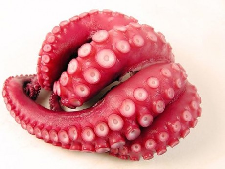 pulpo hervido thermomix